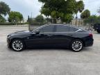 2020 CADILLAC CT5 PREMIUM LUXURY   for sale at Copart FL - MIAMI NORTH