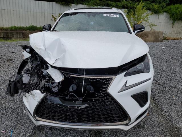  LEXUS NX 2019 Biały