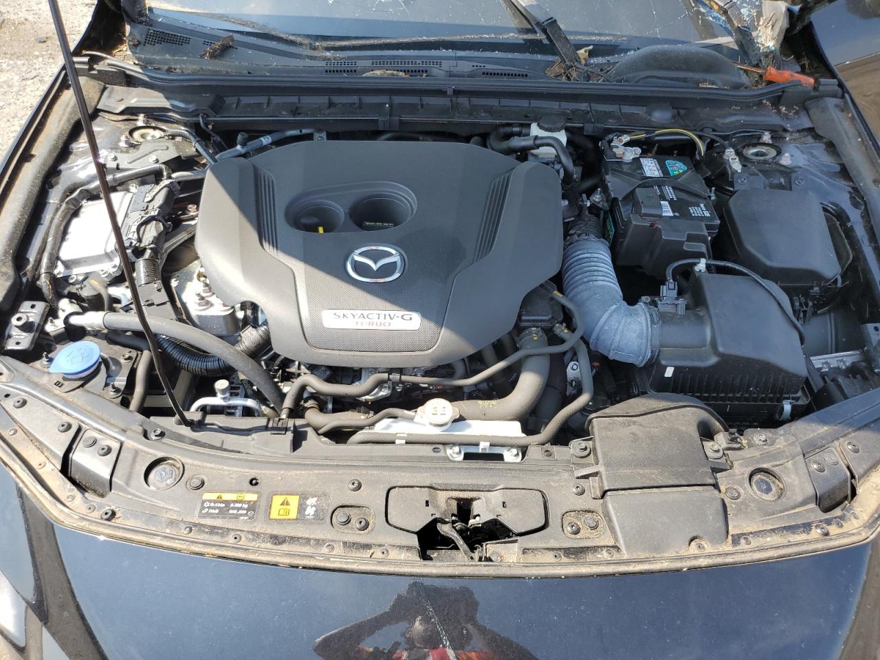 2021 Mazda 3 Premium Plus VIN: JM1BPBNY6M1335360 Lot: 62872375