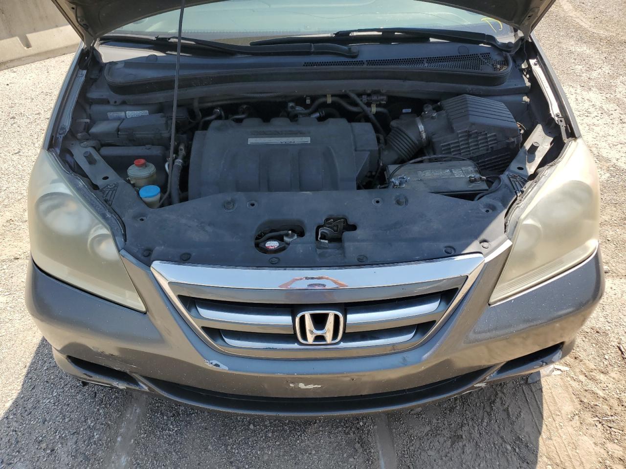 2007 Honda Odyssey Exl VIN: 5FNRL38657B431065 Lot: 64659045