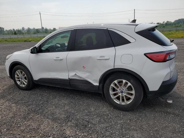  FORD ESCAPE 2020 White