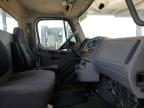 2017 FREIGHTLINER M2 106 MEDIUM DUTY   à vendre chez Copart AZ - PHOENIX