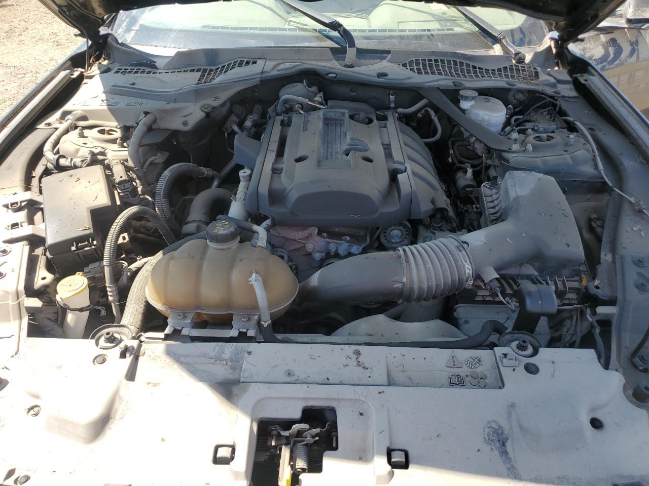 2019 Ford Mustang VIN: 1FATP8UH0K5190157 Lot: 65223075