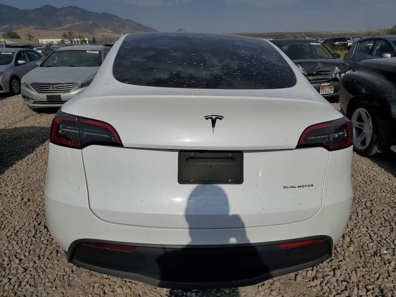 2024 Tesla Model Y VIN: 7SAYGAEE2RF168684 Lot: 64901535