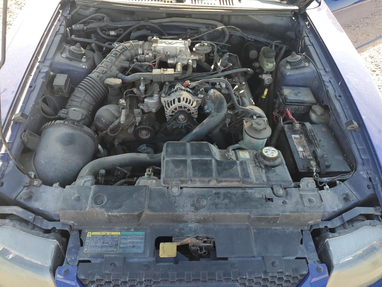 2003 Ford Mustang Gt VIN: 1FAFP42X13F320605 Lot: 65006765