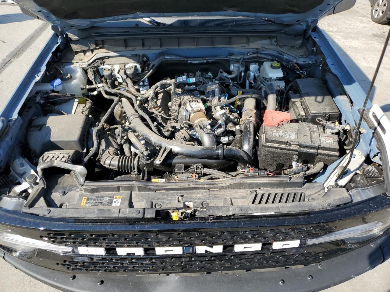2024 Ford Bronco Wildtrak VIN: 1FMEE2BP9RLB46613 Lot: 65495105