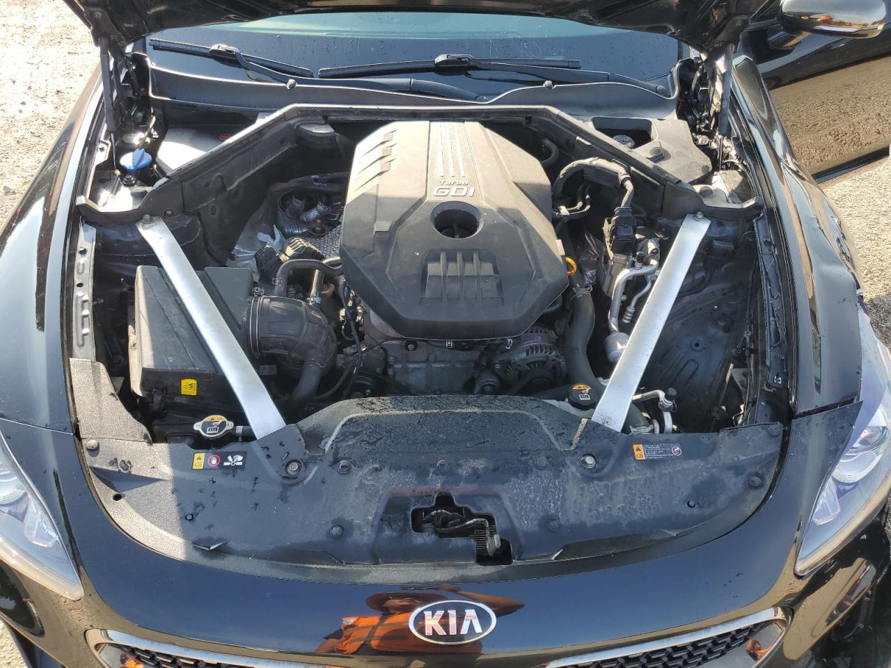 2020 Kia Stinger VIN: KNAE15LA3L6074368 Lot: 64516345