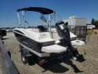 2013 BAYLINER ELEMENT   à vendre chez Copart CA - ANTELOPE