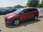 2014 FORD ESCAPE SE   à vendre chez Copart ON - LONDON