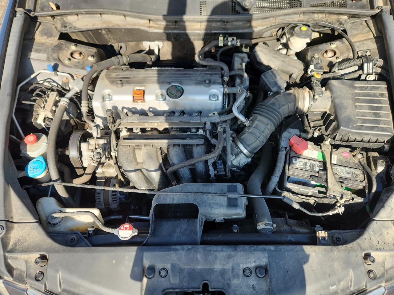 2010 Honda Accord Lx VIN: 1HGCP2F34AA184877 Lot: 66574895