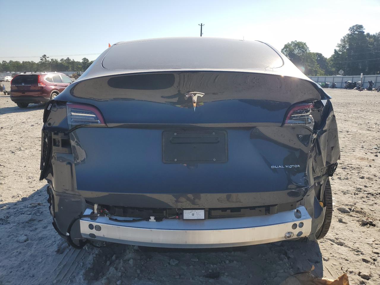 2024 Tesla Model Y VIN: 7SAYGDEE4RA241813 Lot: 64519155
