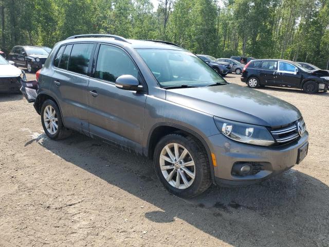 2013 VOLKSWAGEN TIGUAN S  