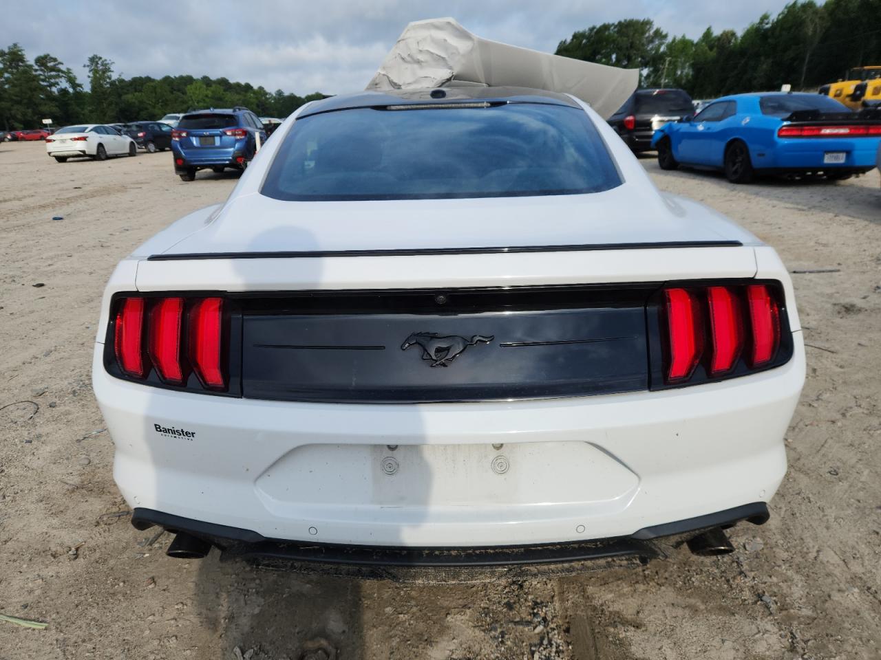 2020 Ford Mustang VIN: 1FA6P8TH9L5123900 Lot: 65088715