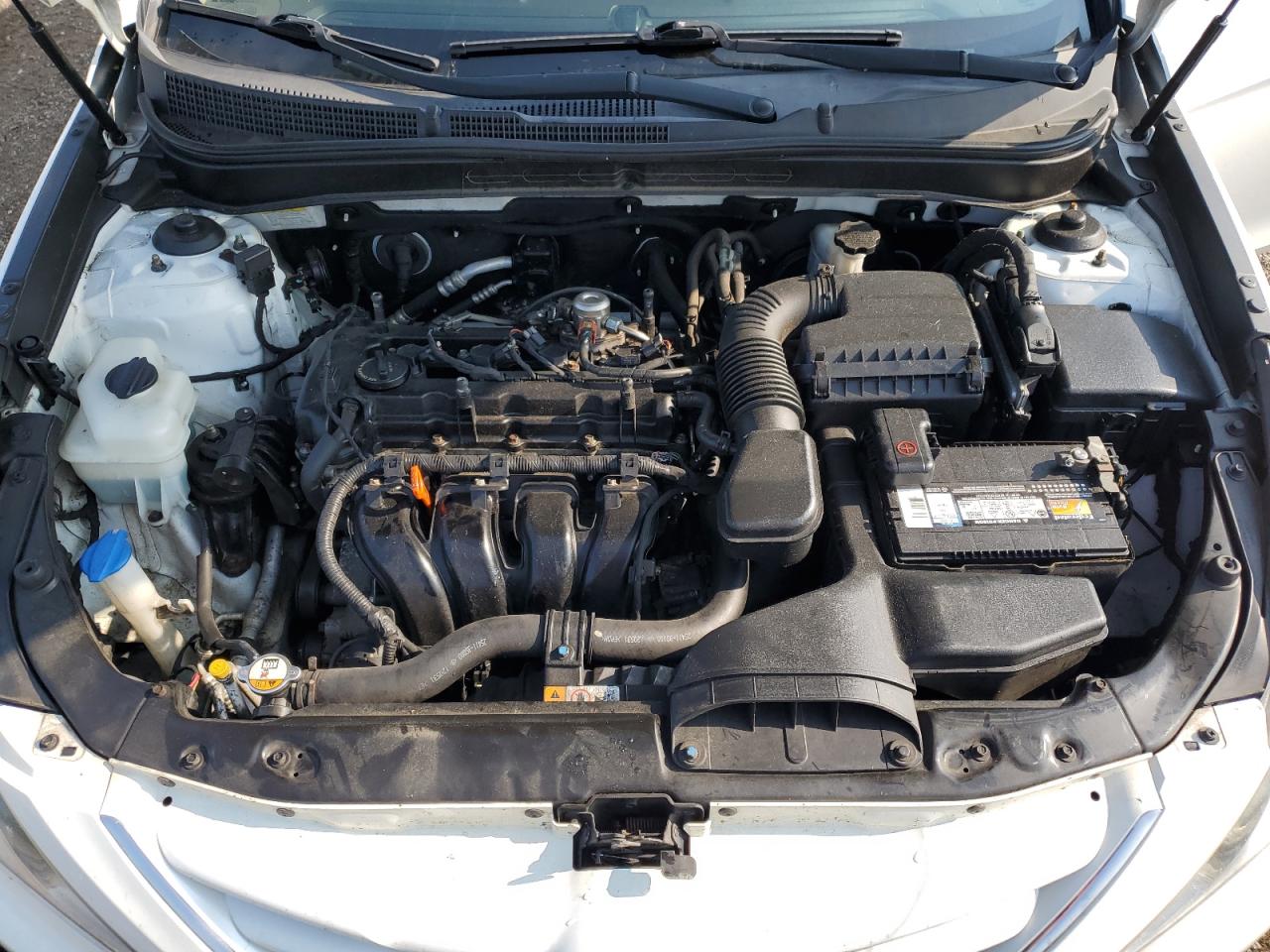 2013 Hyundai Sonata Gls VIN: 5NPEB4AC2DH559445 Lot: 64024865