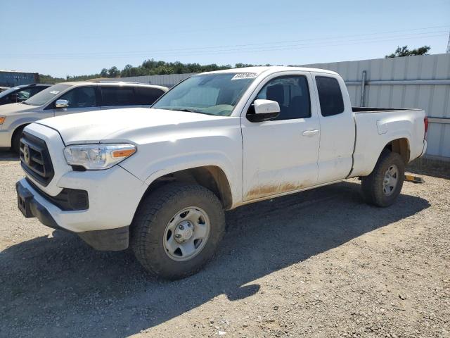 TOYOTA TACOMA ACC 2022