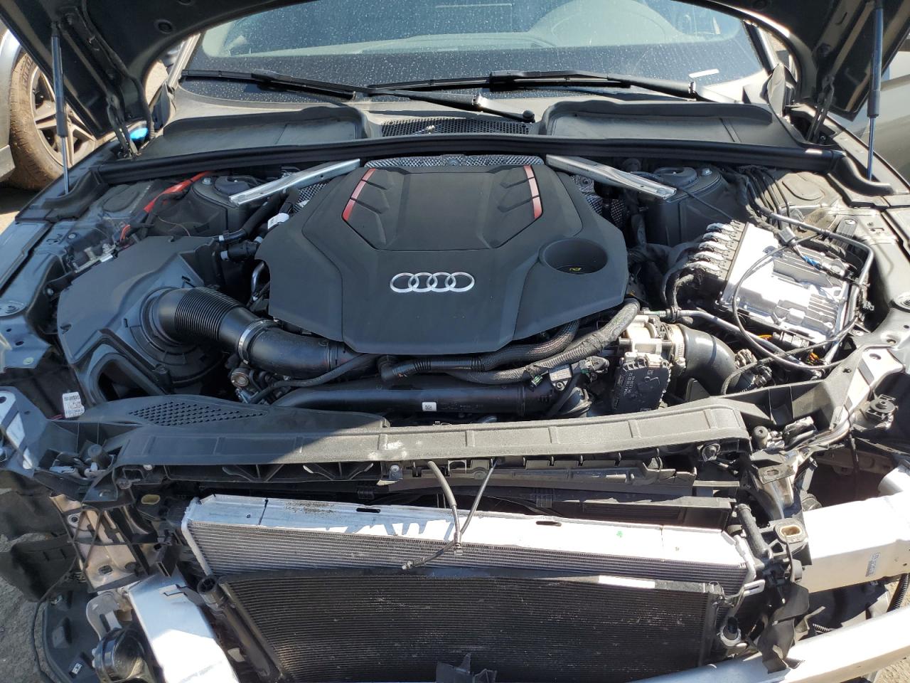 2023 Audi S5 Premium Plus VIN: WAUC4DF50PA008659 Lot: 62772165