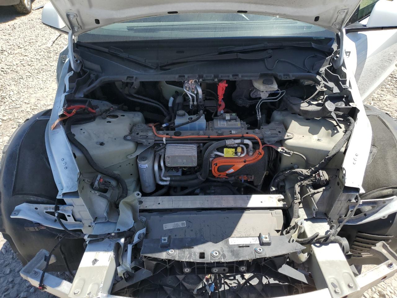 2023 Tesla Model Y VIN: 7SAYGDEE1PF604021 Lot: 66705445