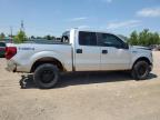 2013 FORD F150 SUPERCREW   à vendre chez Copart ON - LONDON