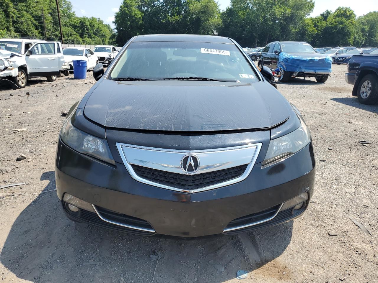 2012 Acura Tl VIN: 19UUA9F50CA010338 Lot: 66647905
