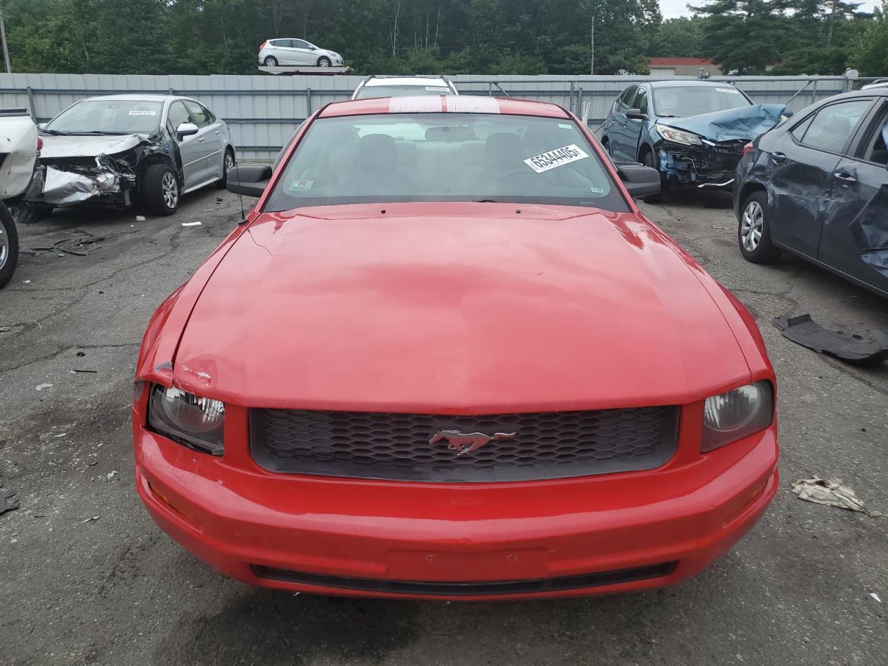 2007 Ford Mustang VIN: 1ZVFT80N775307185 Lot: 65344405