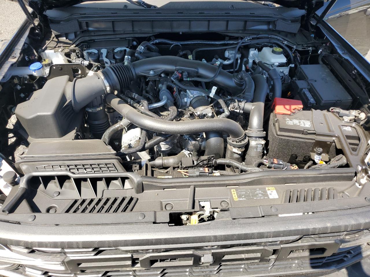 2024 Ford Bronco Raptor VIN: 1FMEE0RR3RLB33657 Lot: 66654575