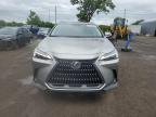 2025 LEXUS NX 450H LUXURY   for sale at Copart QC - MONTREAL