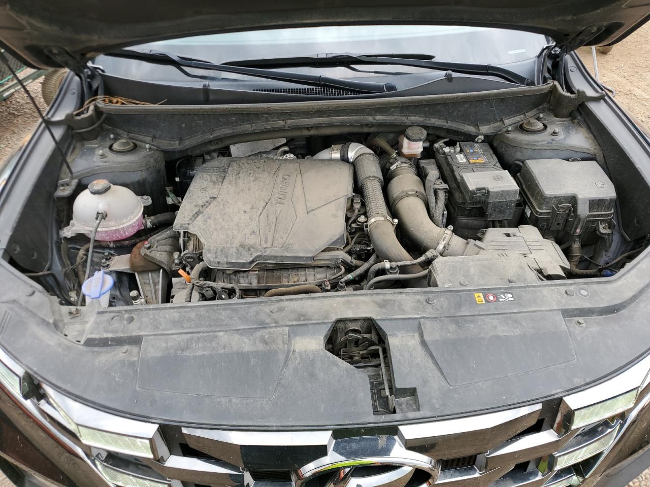 2023 Hyundai Santa Cruz Limited VIN: 5NTJEDAF7PH055253 Lot: 65647245