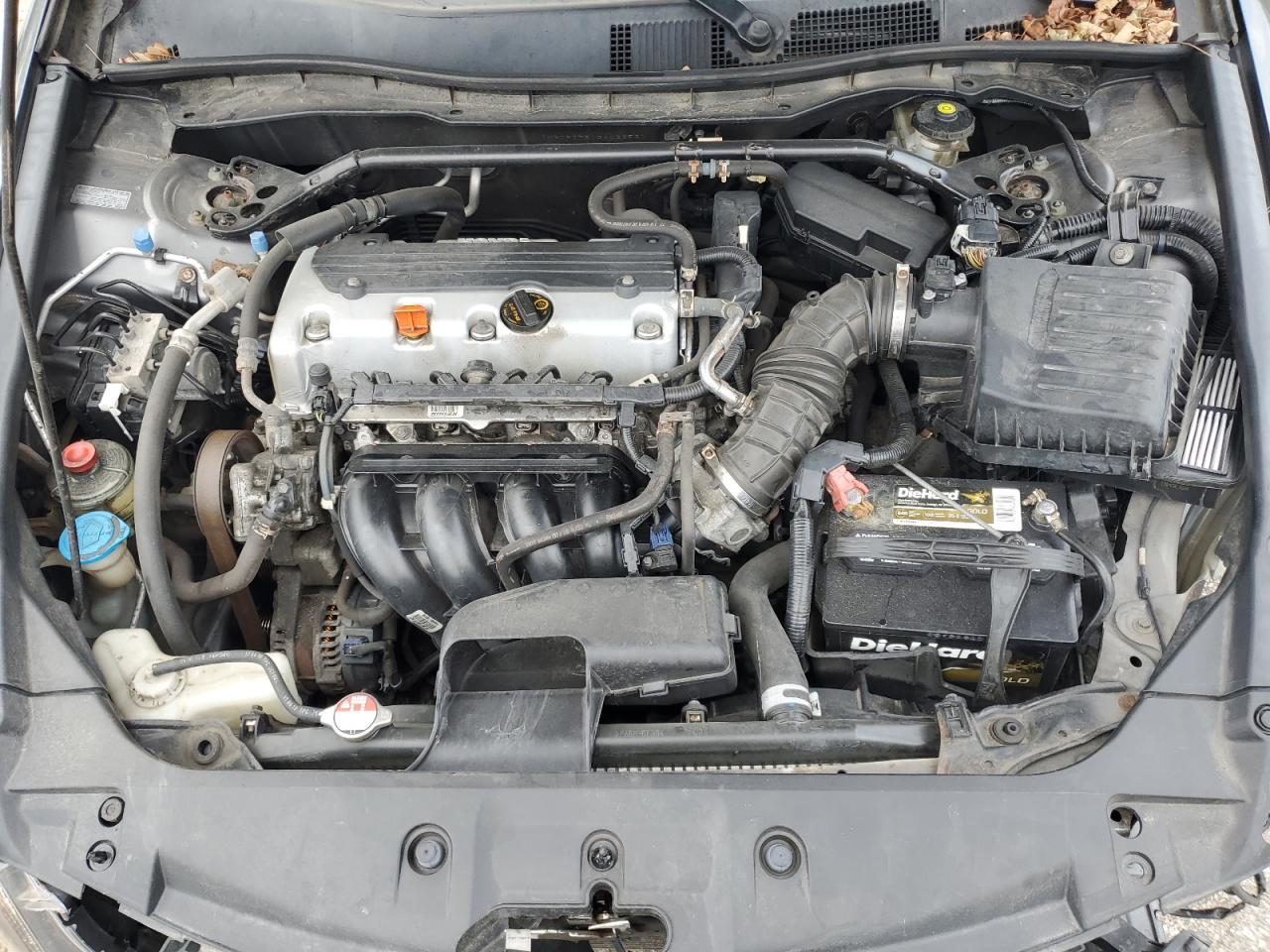 2011 Honda Accord Exl VIN: 1HGCP2F81BA032567 Lot: 63813145