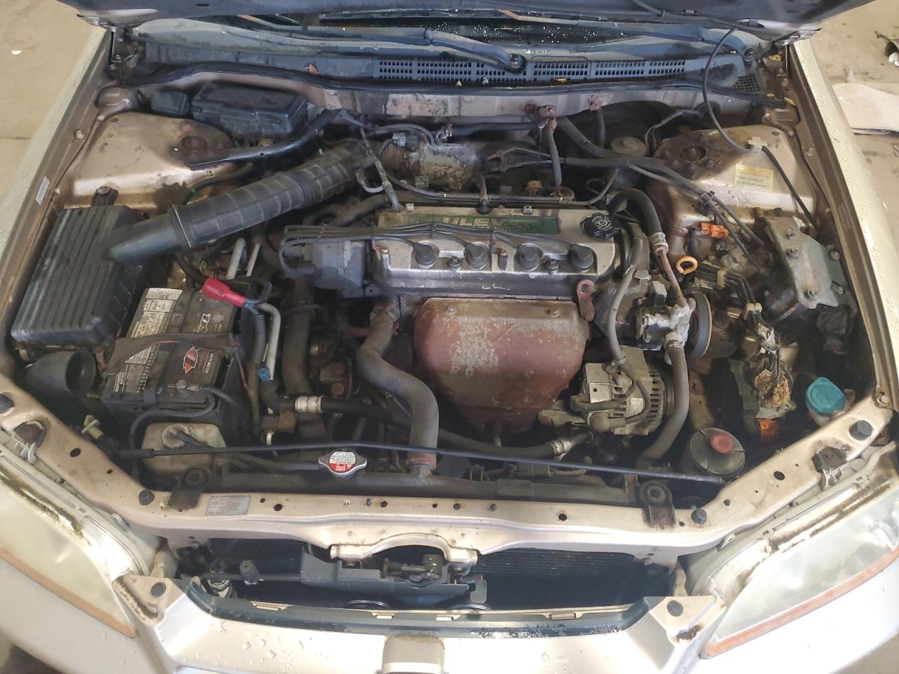 2000 Honda Accord Ex VIN: JHMCG6672YC005564 Lot: 64805685
