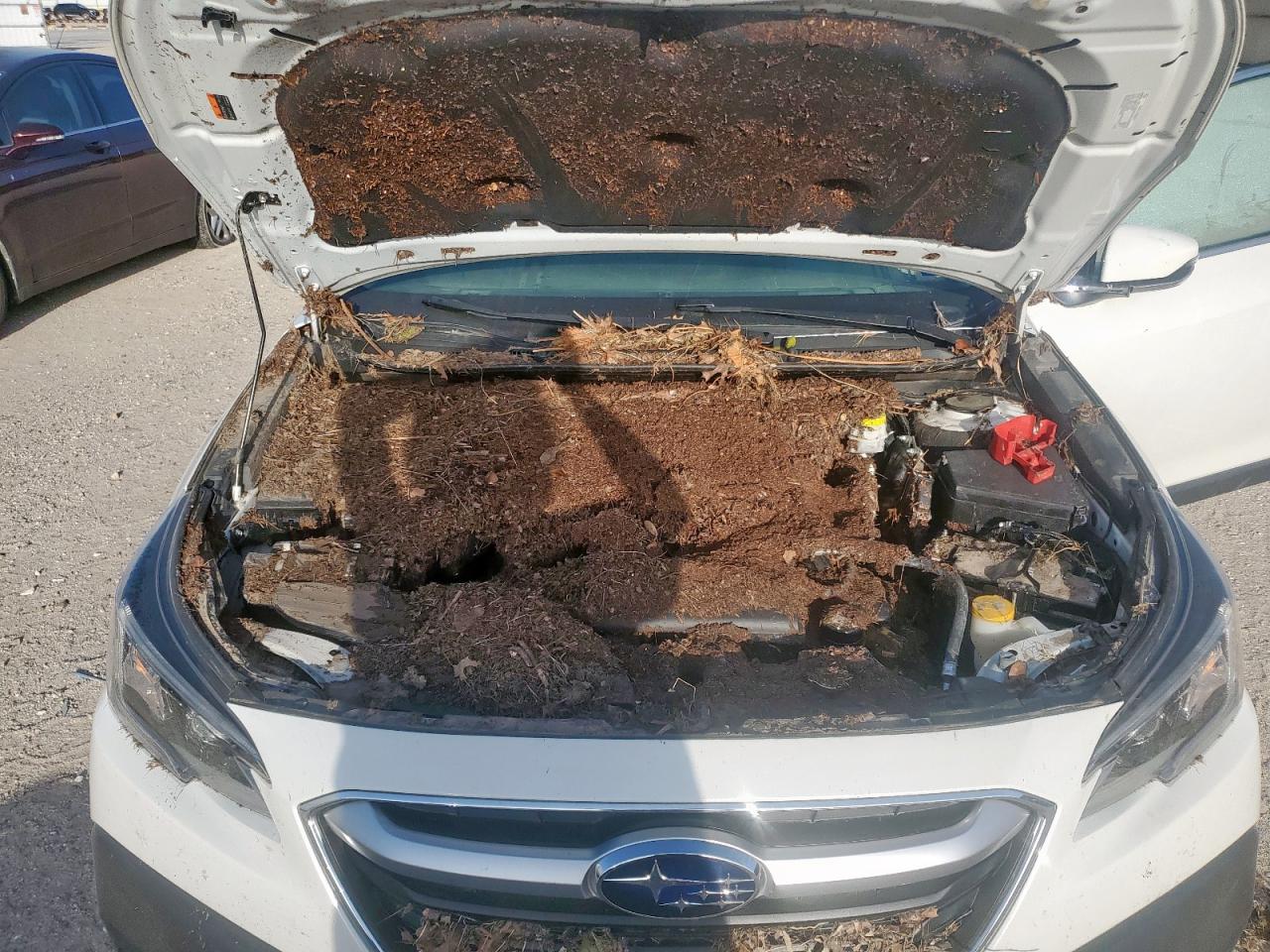 2022 Subaru Outback Premium VIN: 4S4BTADC9N3120410 Lot: 64324675