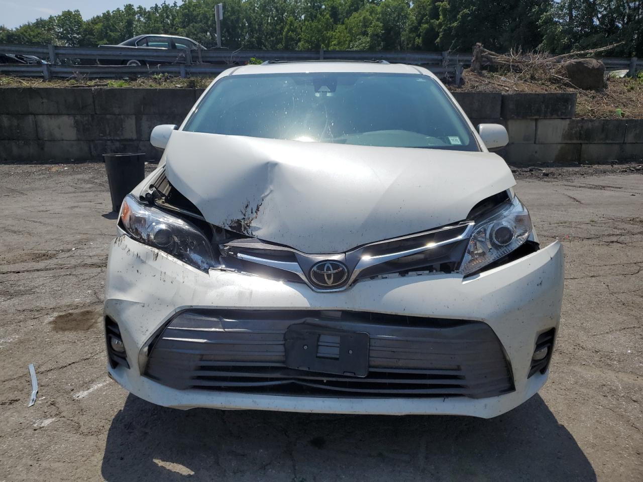 2018 Toyota Sienna Xle VIN: 5TDDZ3DC6JS190527 Lot: 66229135