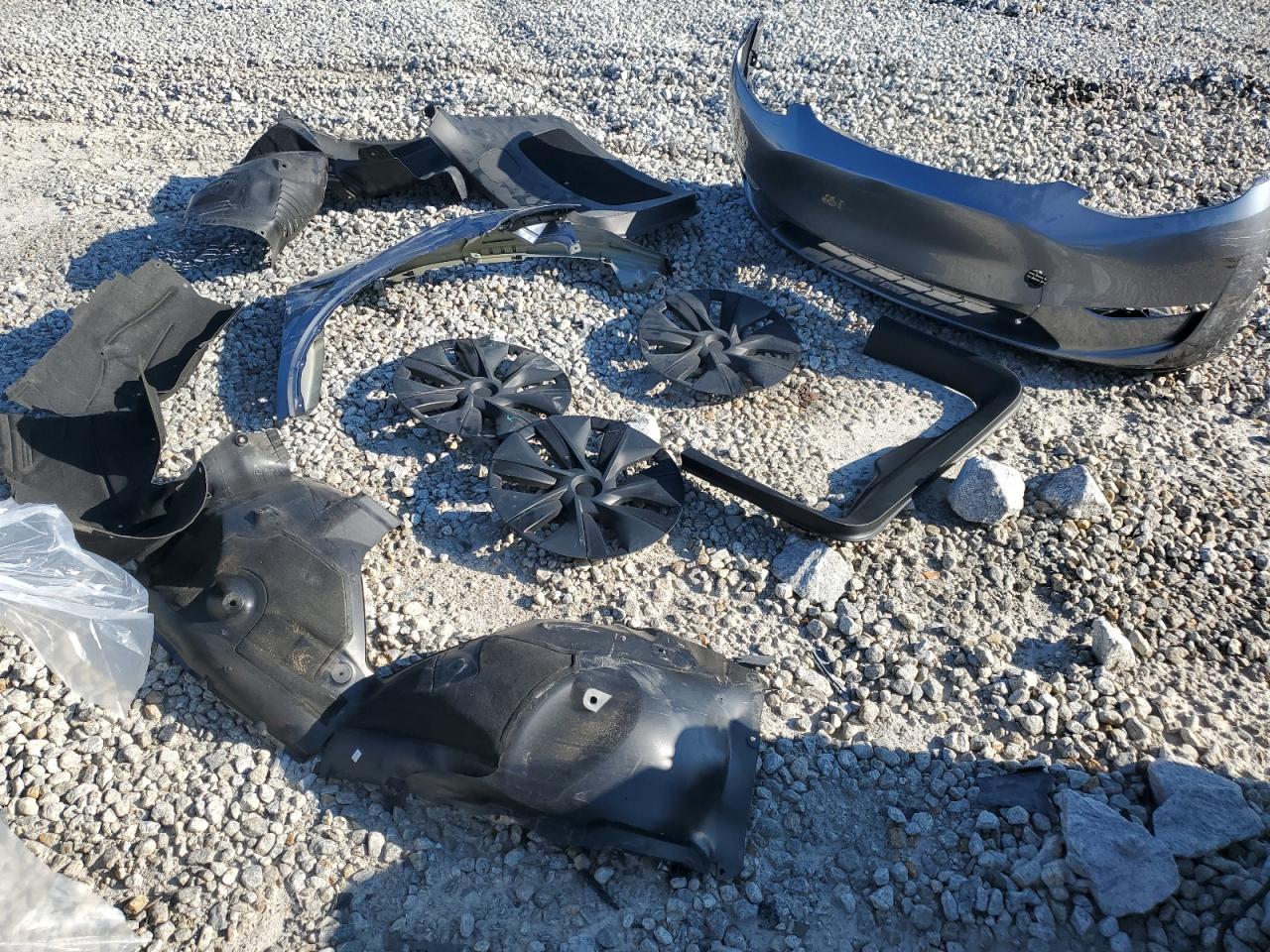 2024 Tesla Model Y VIN: 7SAYGDEE6RA328998 Lot: 66497135