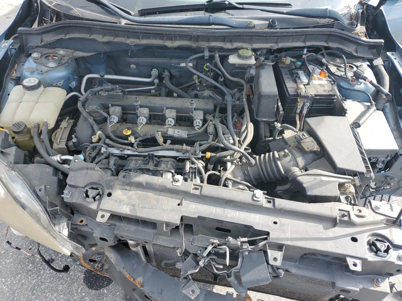 2010 Mazda 3 I VIN: JM1BL1SFXA1176637 Lot: 64071075