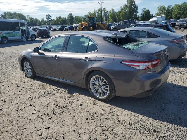  TOYOTA CAMRY 2020 Gray