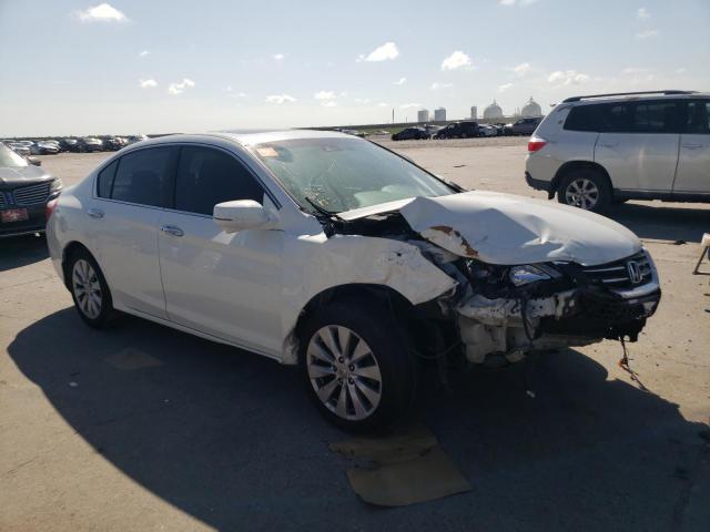  HONDA ACCORD 2013 White