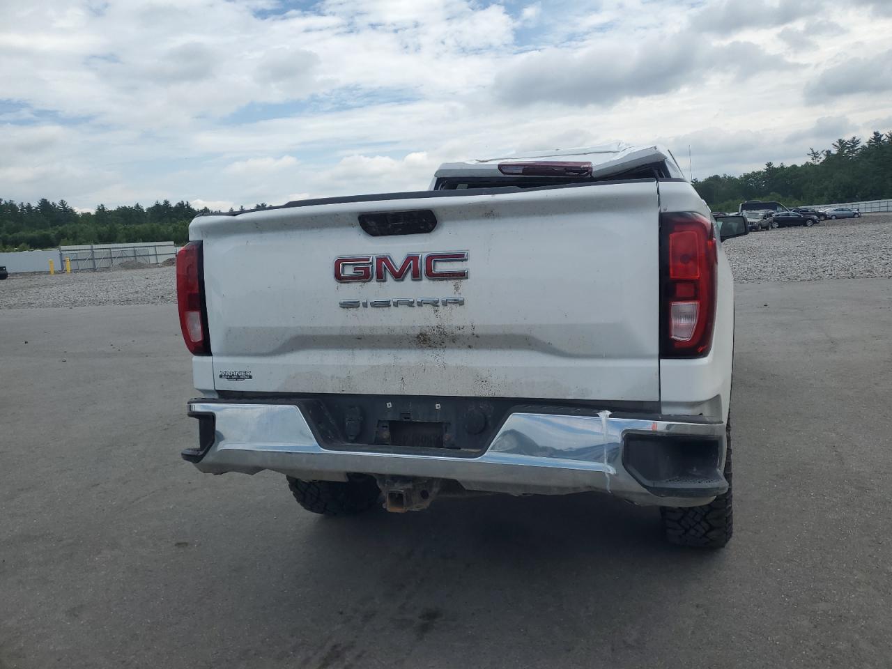 2020 GMC Sierra K1500 VIN: 1GTR9AEF0LZ210839 Lot: 62633635