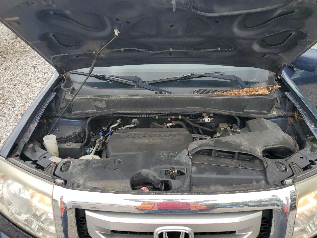 2010 Honda Pilot Exl VIN: 5FNYF4H6XAB002469 Lot: 64876945