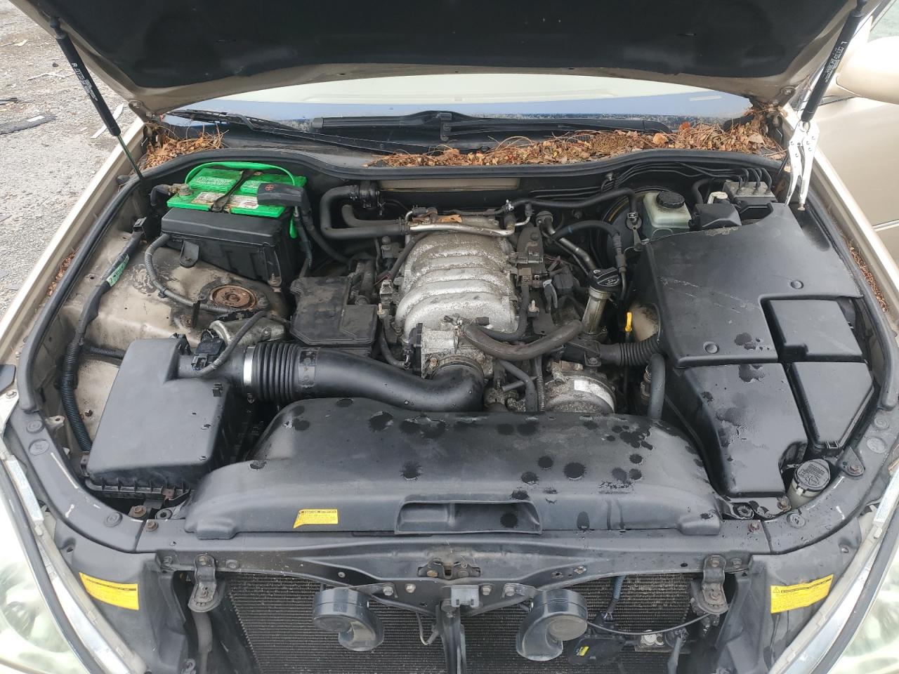 2003 Lexus Ls 430 VIN: JTHBN30F730095045 Lot: 66223205