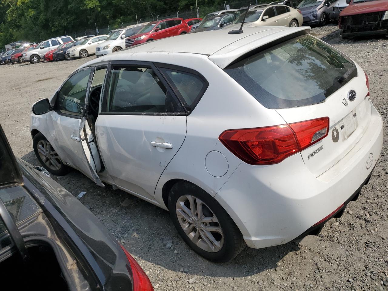 2011 Kia Forte Ex VIN: KNAFU5A29B5348135 Lot: 66319865