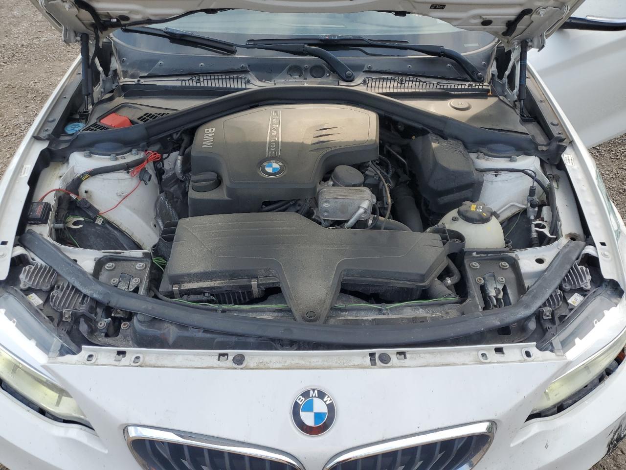 2016 BMW 228 Xi Sulev VIN: WBA1G9C54GV727132 Lot: 64283565
