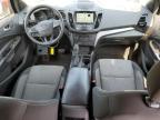 2019 FORD ESCAPE SE   à vendre chez Copart NJ - TRENTON