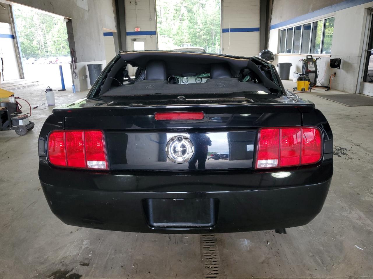 2009 Ford Mustang VIN: 1ZVHT80NX95125296 Lot: 64722265