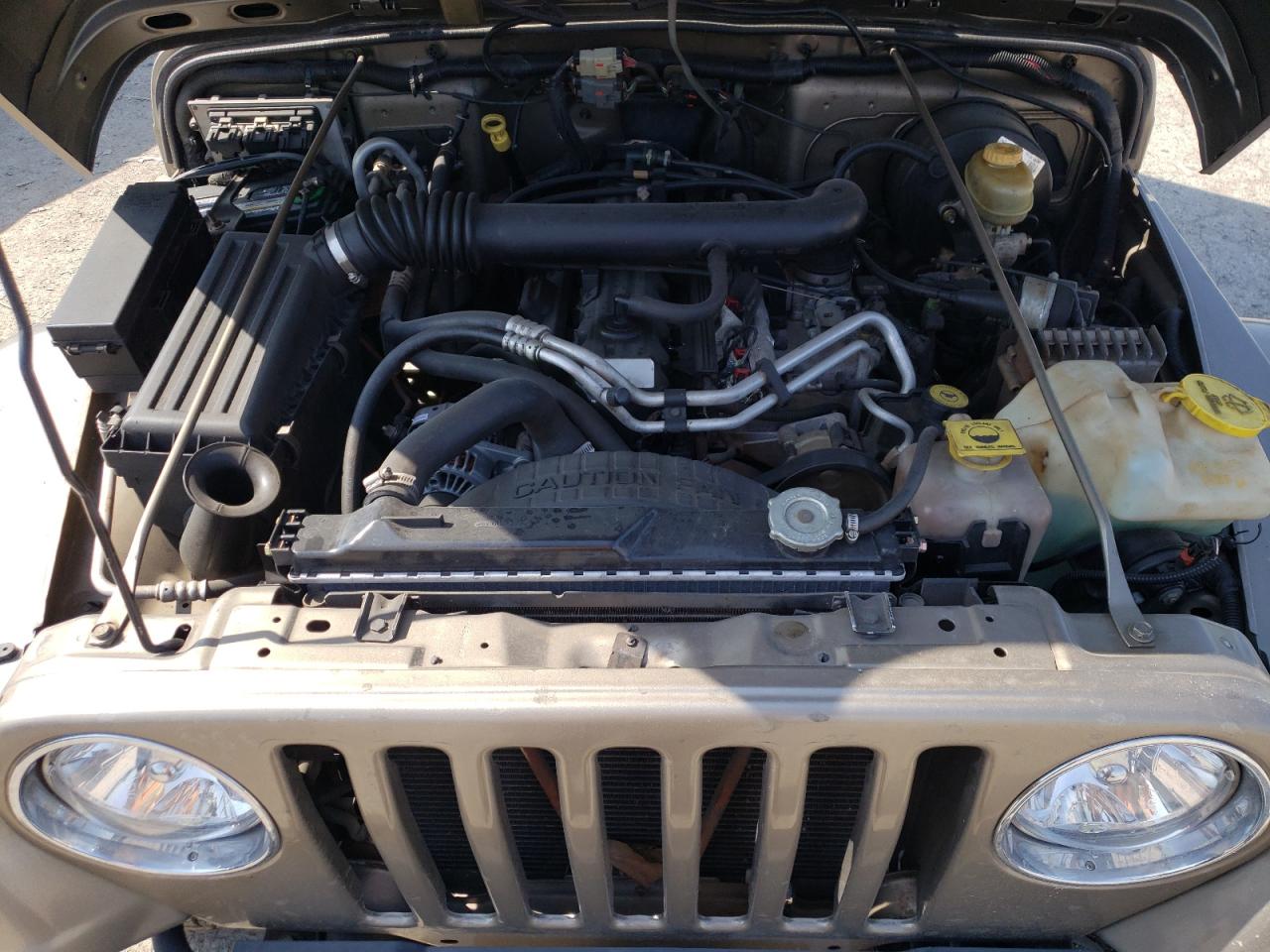 2003 Jeep Wrangler / Tj Sahara VIN: 1J4FA59S53P304486 Lot: 63196275