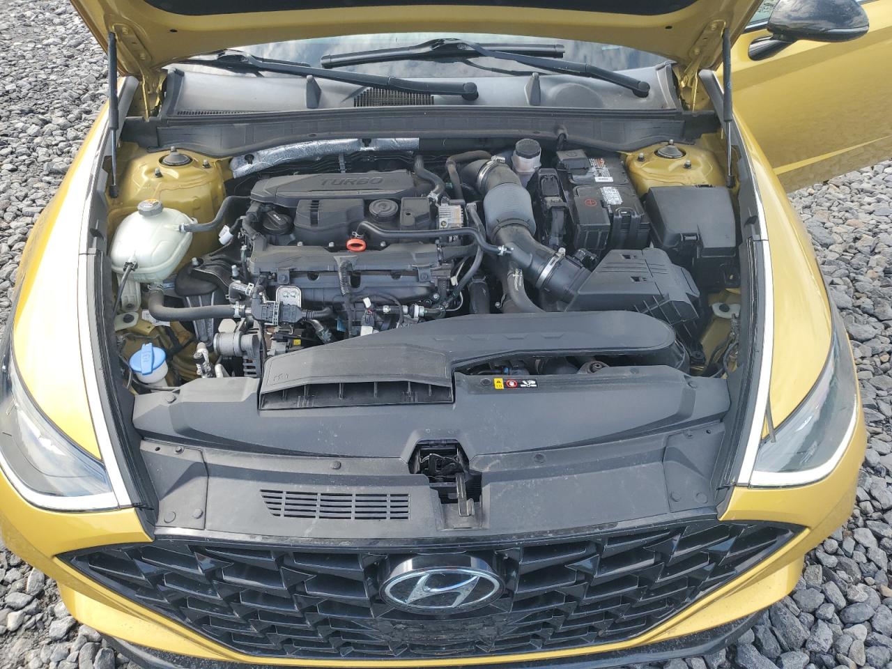 2020 Hyundai Sonata Sel Plus VIN: 5NPEJ4J21LH019898 Lot: 63811725