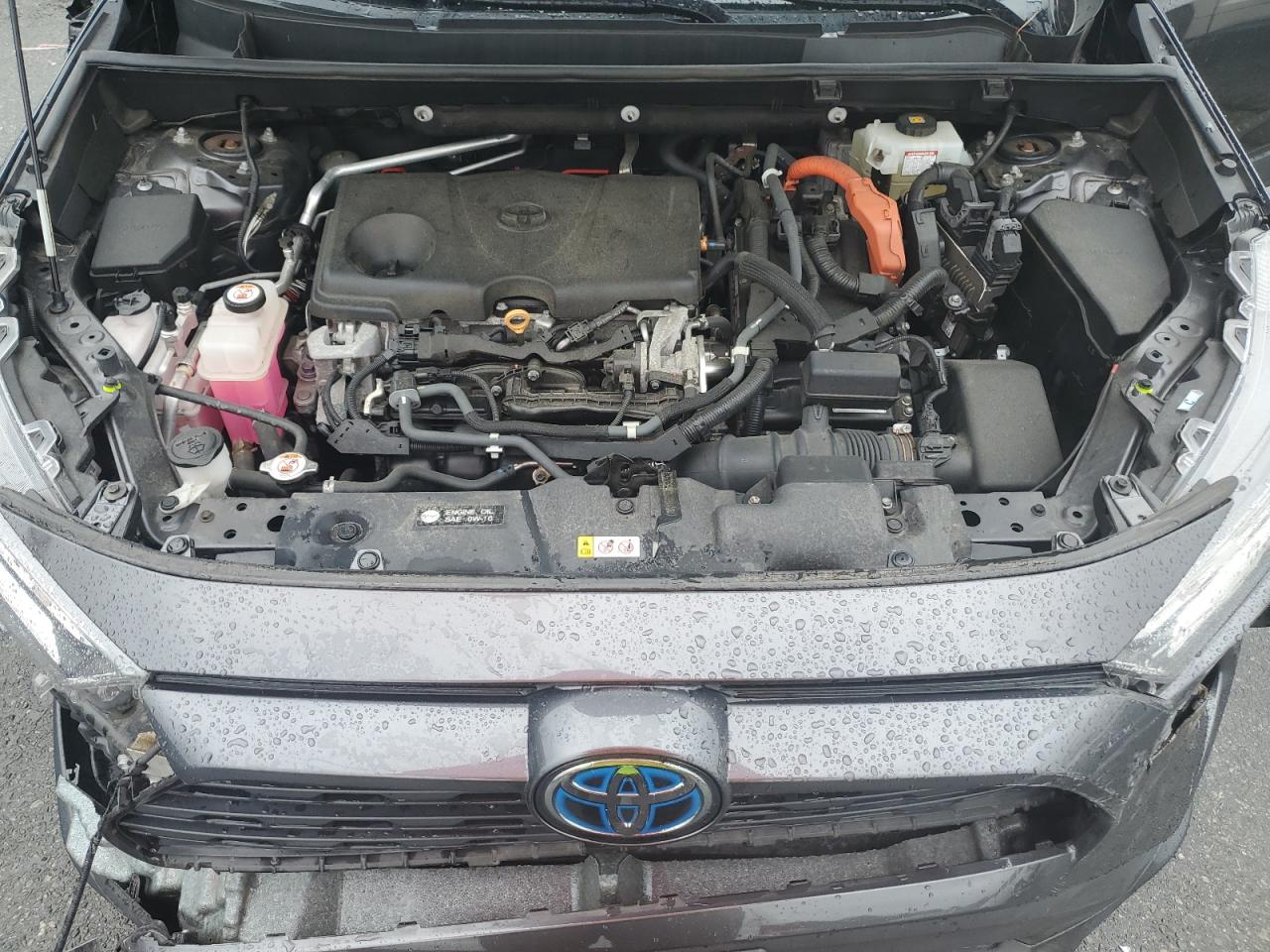 2020 Toyota Rav4 Xle VIN: 2T3RWRFV4LW084109 Lot: 64086535