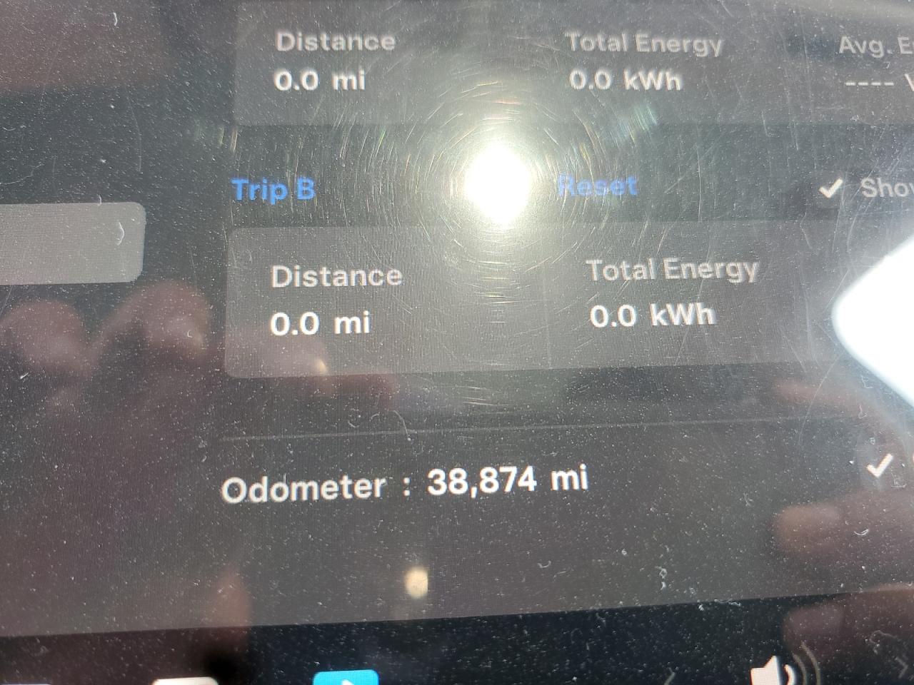 2023 Tesla Model Y VIN: 7SAYGDEE4PF764166 Lot: 64412875