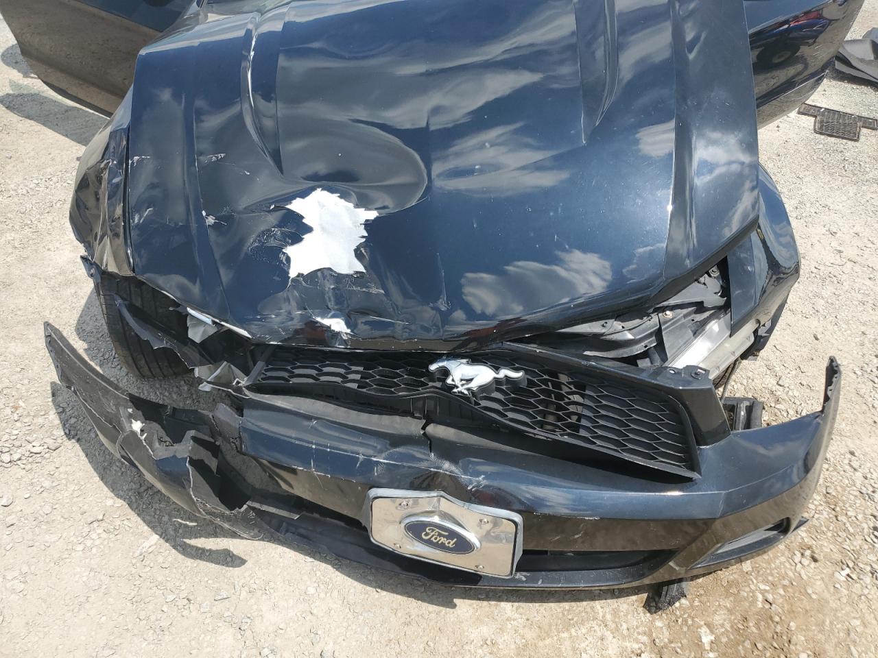 2012 Ford Mustang VIN: 1ZVBP8EM5C5286334 Lot: 64409965