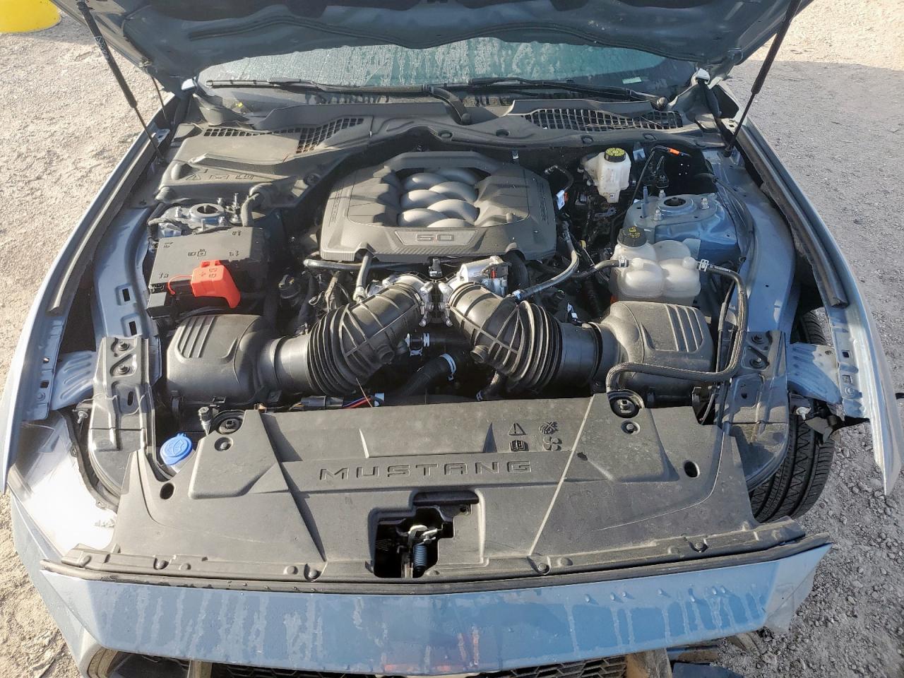 2025 Ford Mustang Gt VIN: 1FA6P8CF8S5405023 Lot: 65206195
