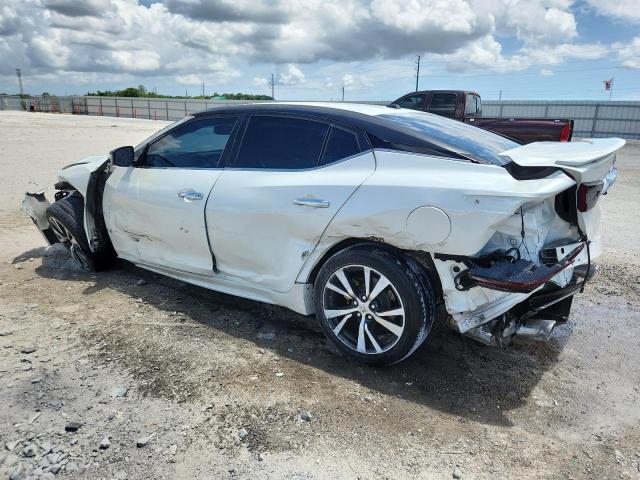  NISSAN MAXIMA 2017 White