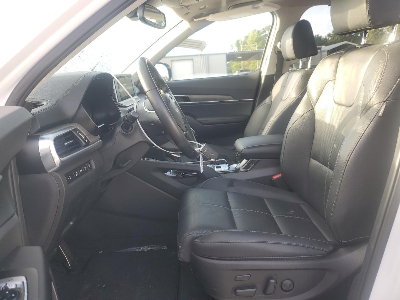 2022 Kia Telluride Sx VIN: 5XYP54HC3NG313065 Lot: 64785785